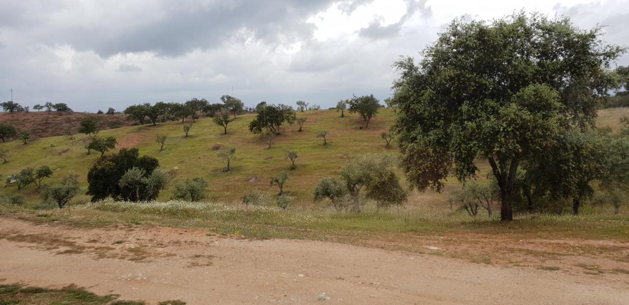 לינה וארוחת בוקר Vila Verde de Ficalho Monte Anna מראה חיצוני תמונה