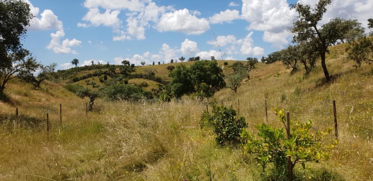 לינה וארוחת בוקר Vila Verde de Ficalho Monte Anna מראה חיצוני תמונה