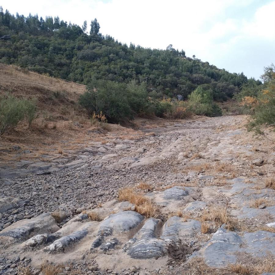 לינה וארוחת בוקר Vila Verde de Ficalho Monte Anna מראה חיצוני תמונה
